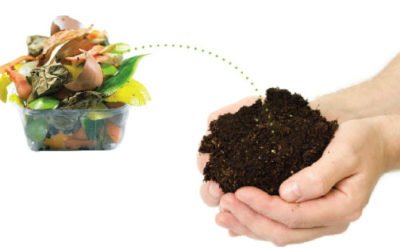 “DESENTUPIDORA MARINGÁ”, 5 resíduos que podem ser compostados e você não sabia!’